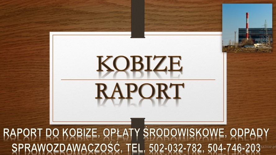 Wykonanie raportu do Kobize, tel. 502-032-782. cena
